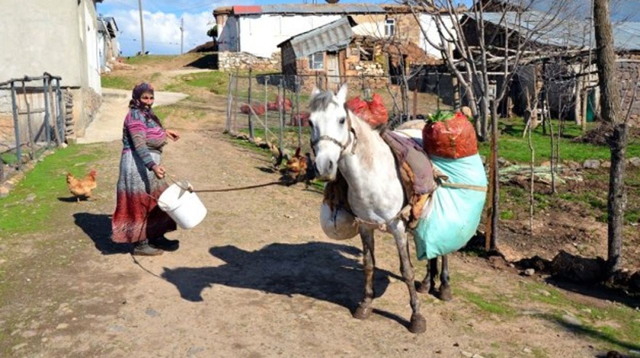 5 kilometre yol gidip, günde 600 TL kazanıyorlar