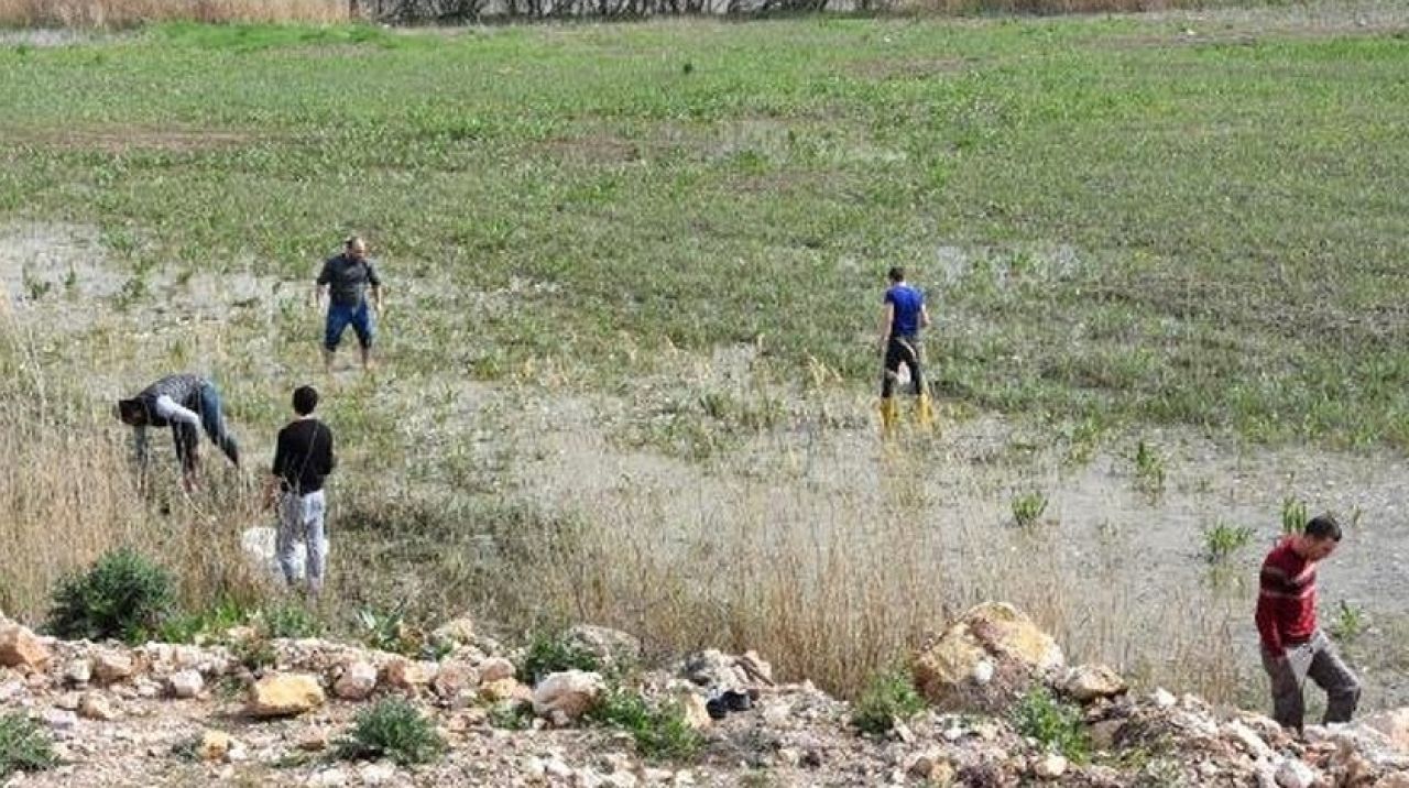 Duyan soluğu orada aldı! Koşarak gelip topladılar