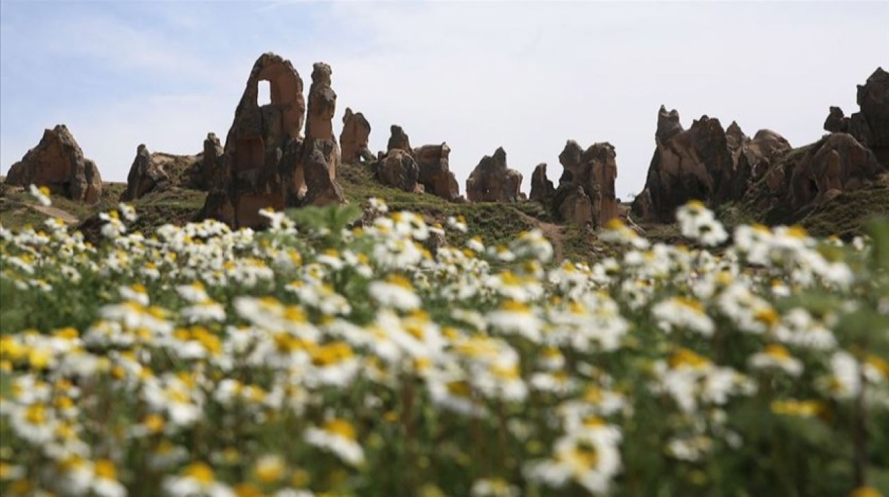 Kapadokya  çiçek açtı