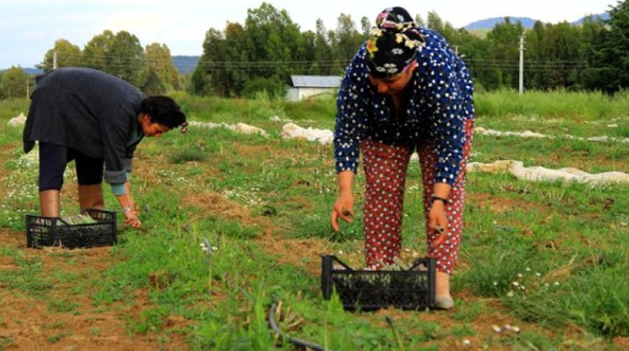 Müdürlüğü bırakıp bu işe girdi, yıllık kazancı 900 bin TL