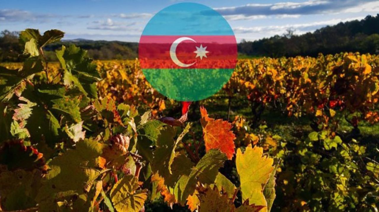 Azerbaycan, tarım sanayisinde de ilerliyor