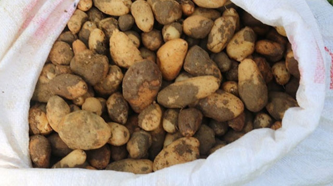 25 kilogram soğana 300 bin TL para cezası