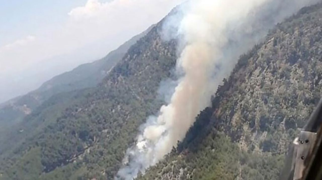 Muğla'nın Milas ilçesinde, orman yangını çıktı