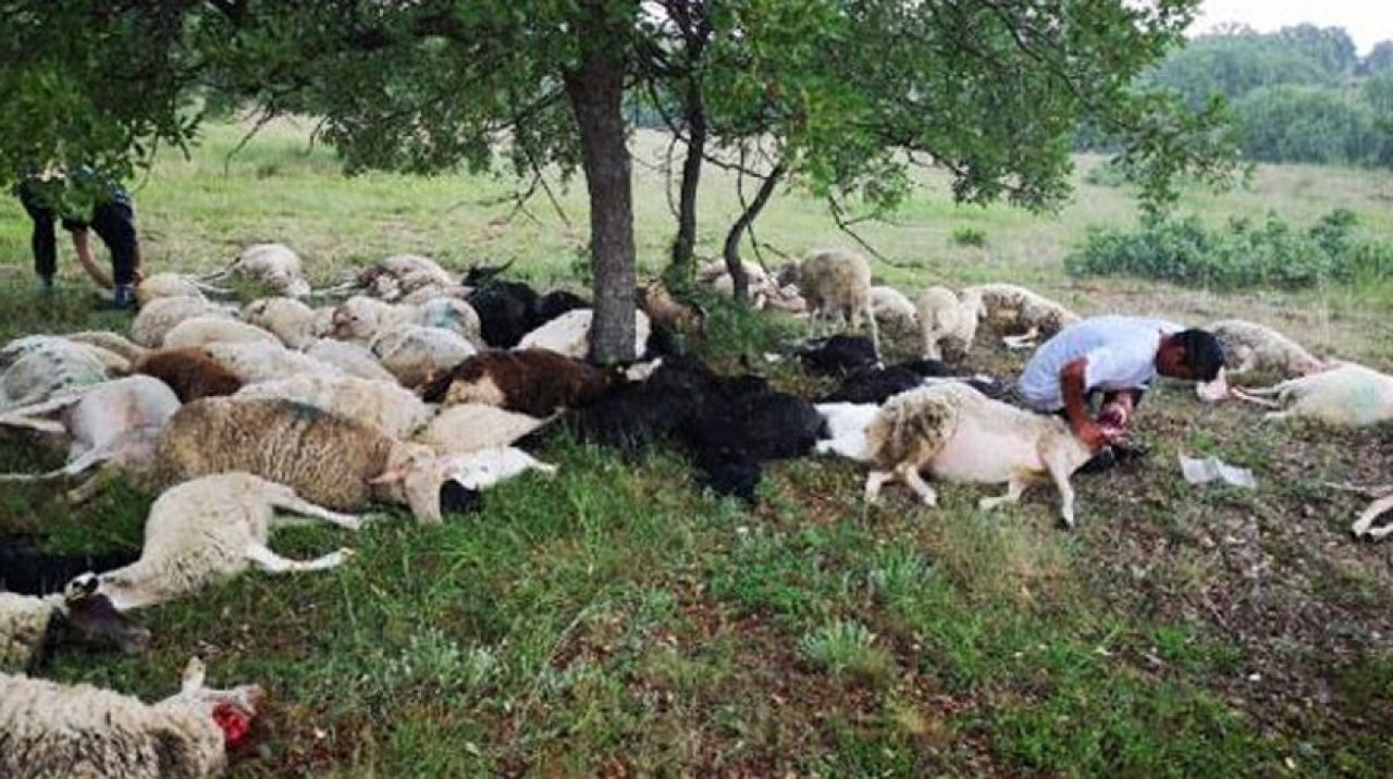 Gözlerine inanamadı! Hepsi bu şekilde bulundu