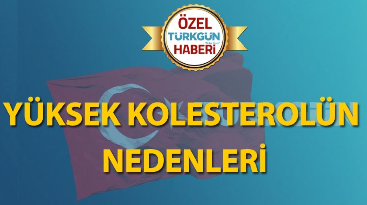 Yüksek kolesterolün nedenleri