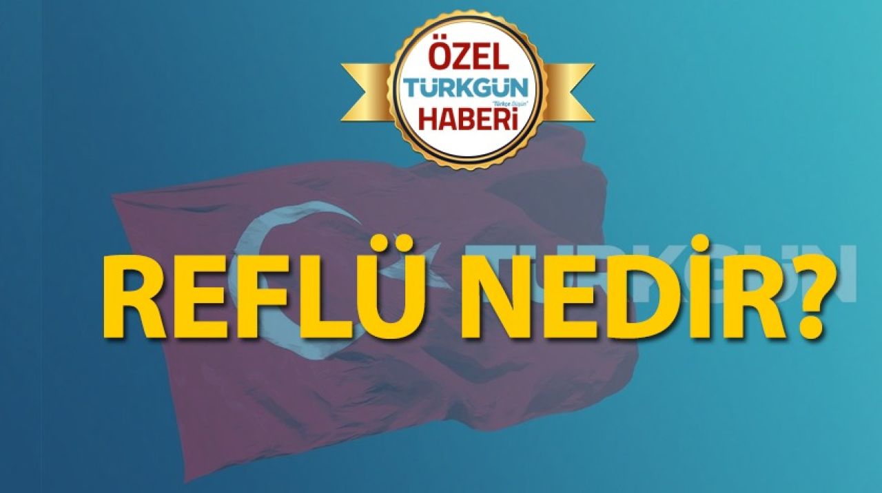 Reflü nedir?