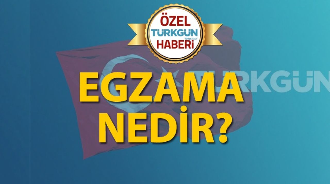 Egzama nedir?