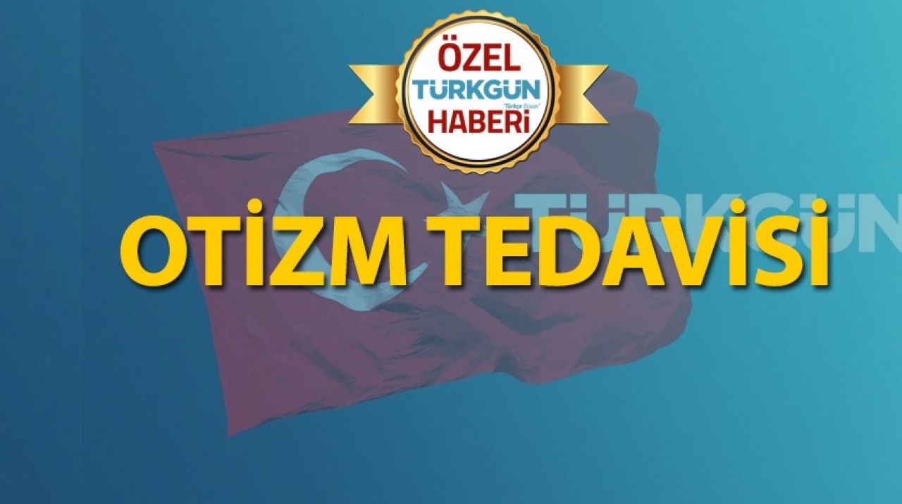 Otizm tedavisi