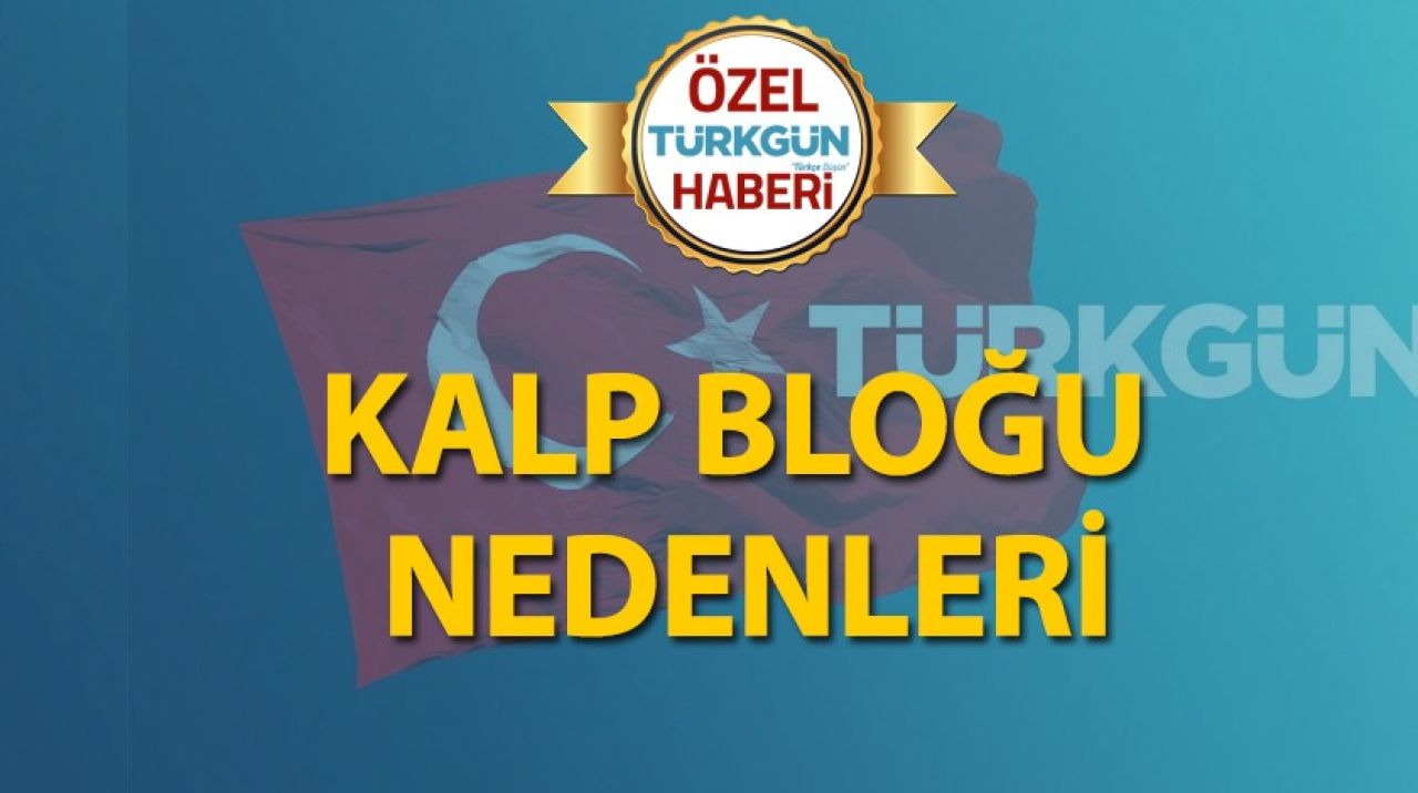 Kalp bloğu nedenleri