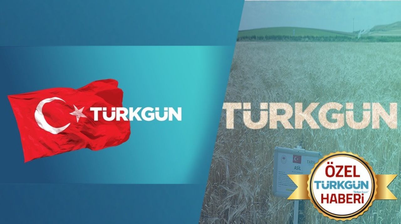 Yerli ve milli tohumlar düzenlenen etkinlikle tanıtıldı