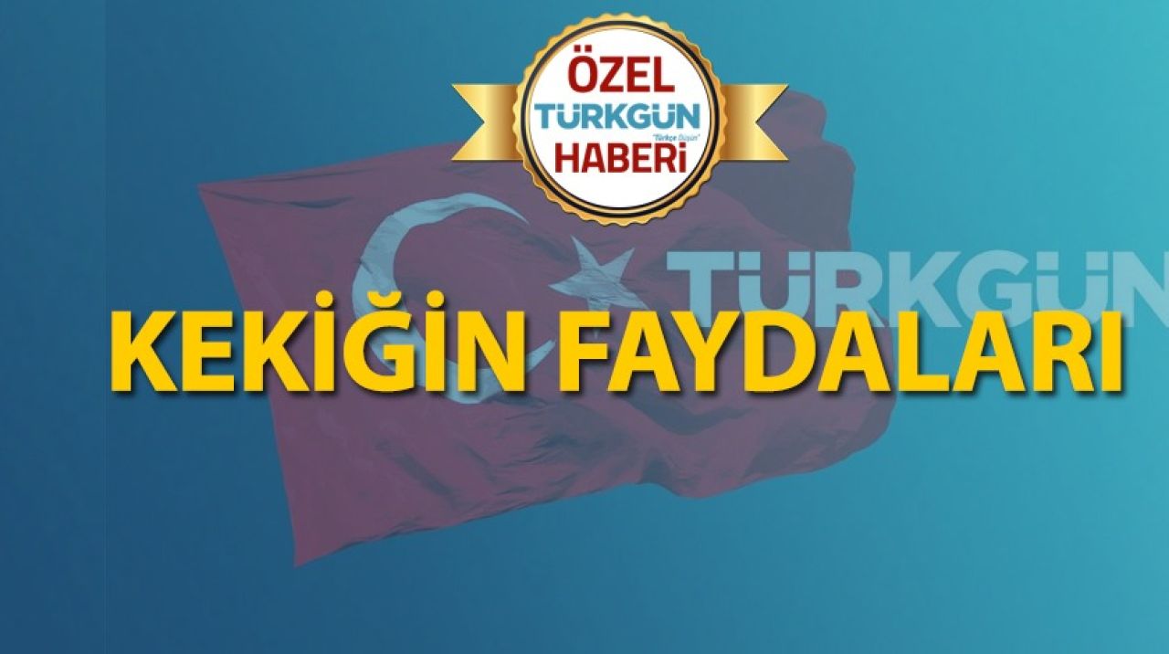 Kekiğin faydaları