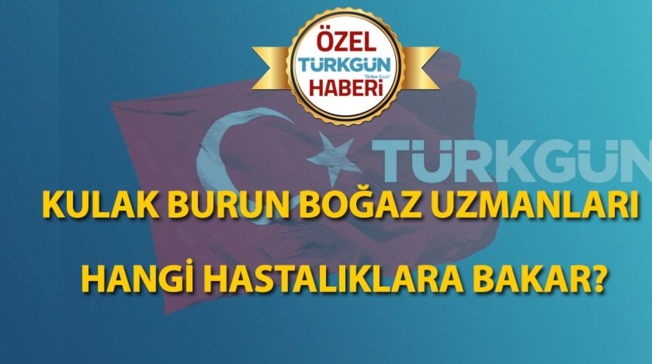 Kulak burun boğaz uzmanları hangi hastalıklara bakar?