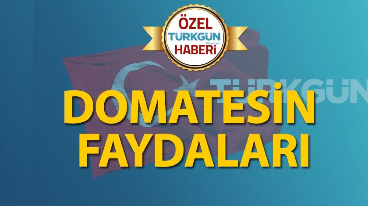 Domatesin faydaları