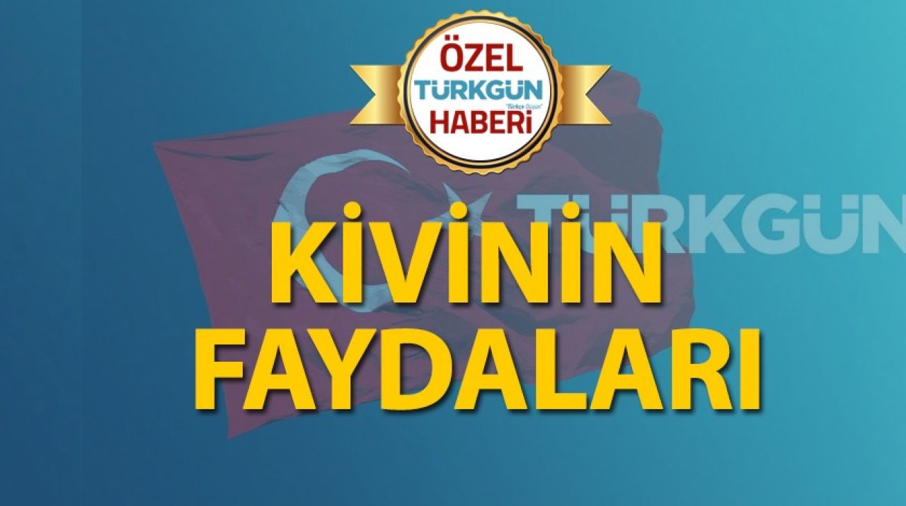 Kivinin faydaları