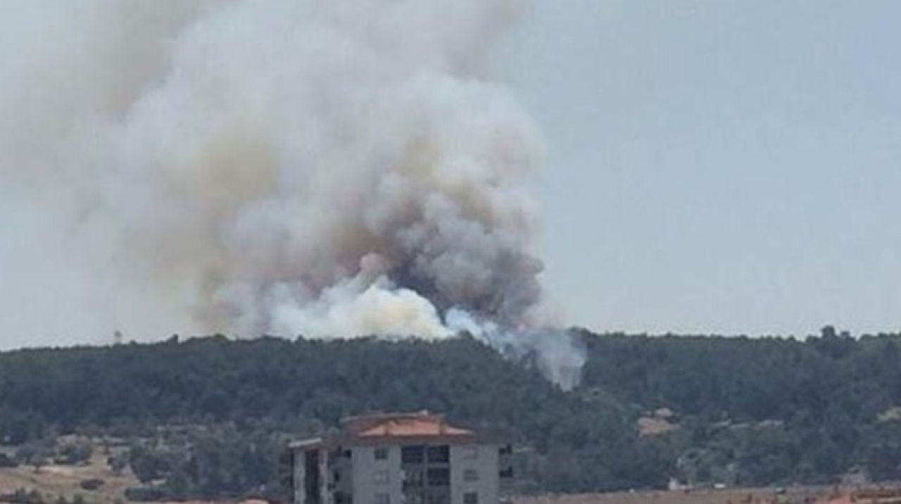 İzmir'de orman yangını! Çok sayıda ekip sevk edildi