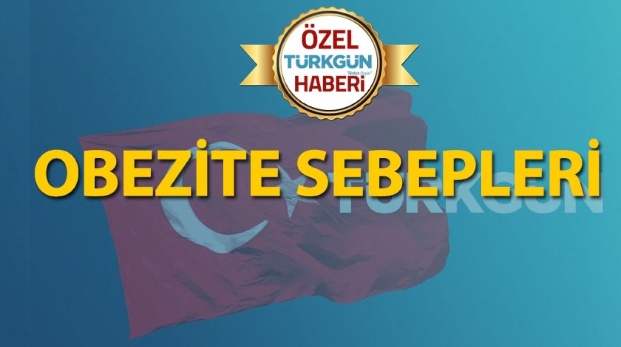 Obezite sebepleri