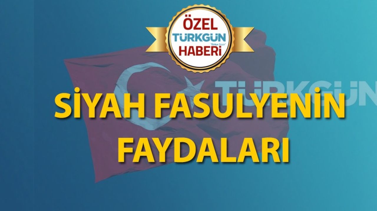 Siyah fasulyenin faydaları