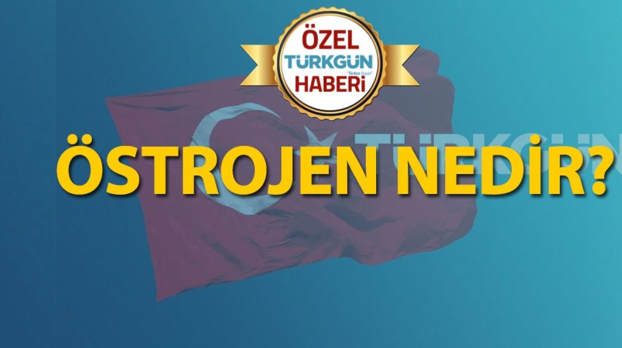 Östrojen nedir?