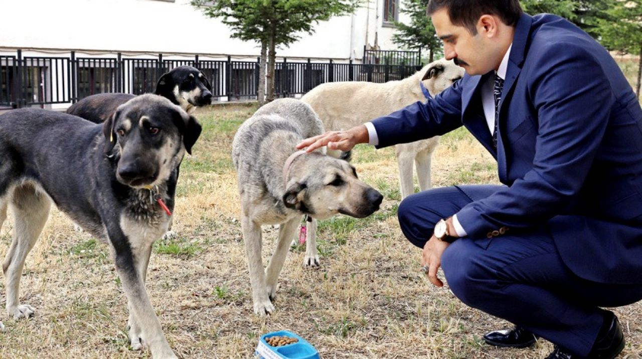 Ülkü Ocakları Başkanı: Çevrecilik milliyetçiliktir