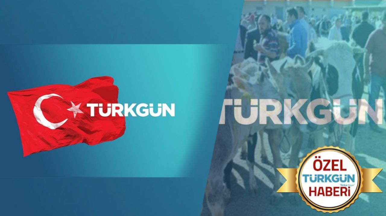 Doğu'da kurban pazarlarında bayram öncesi yoğunluk yaşanıyor