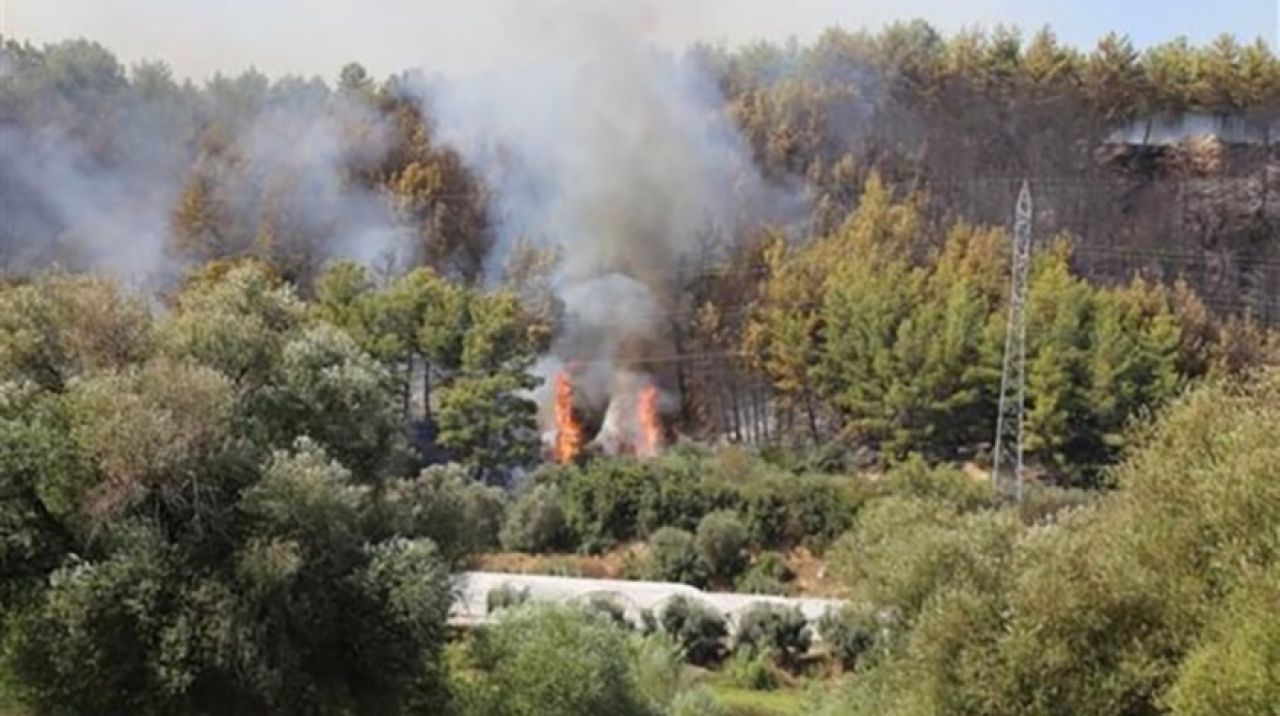 Alevler antik kente ilerliyor! Antalya'da korkutan yangın