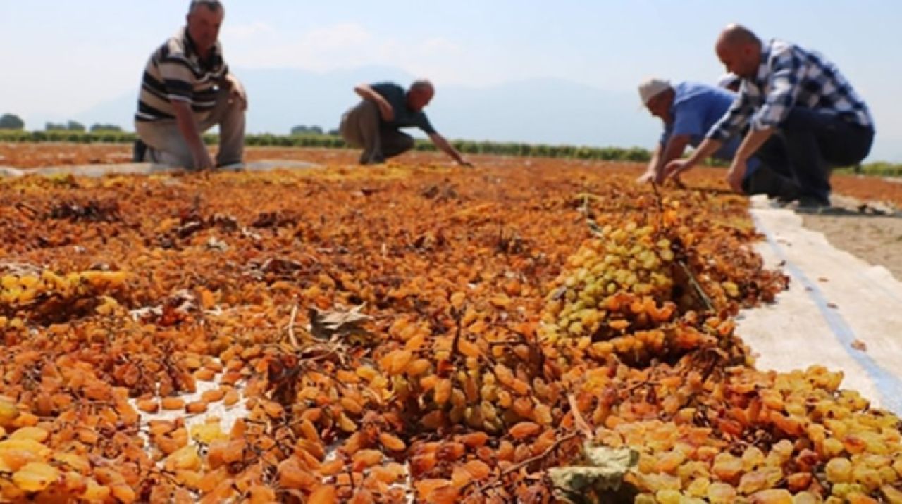 Bakan Pakdemirli  açıkladı! İşte kuru üzüm alım fiyatı