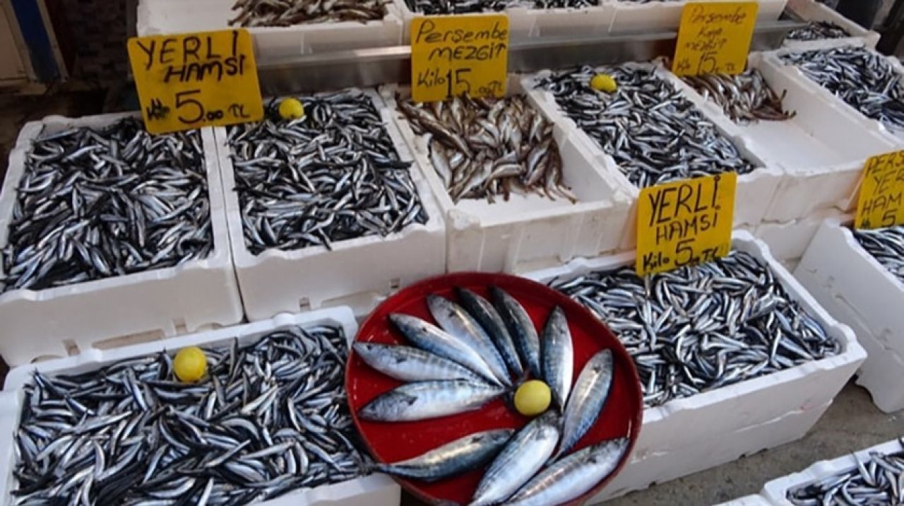 Karadeniz'de hamsi avı yasağı uzatılsın çağrısı