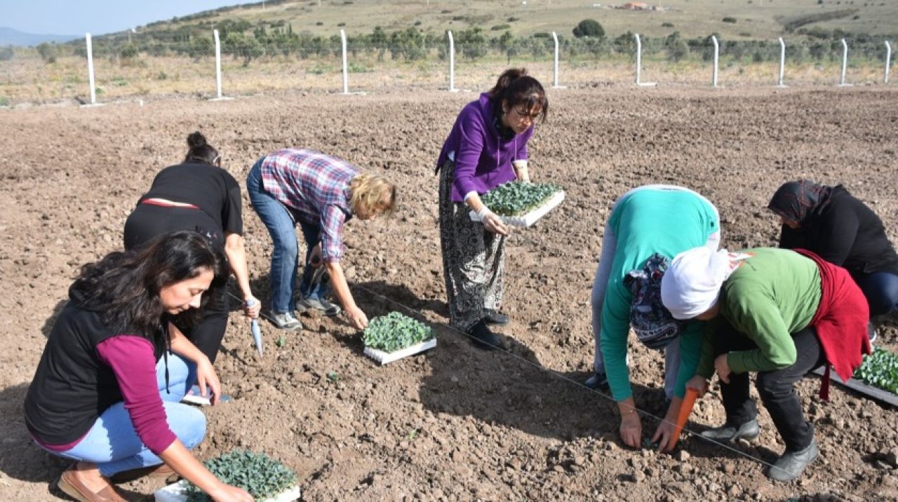 Aliağalı üretici kadın çiftçiler tarlaya indi