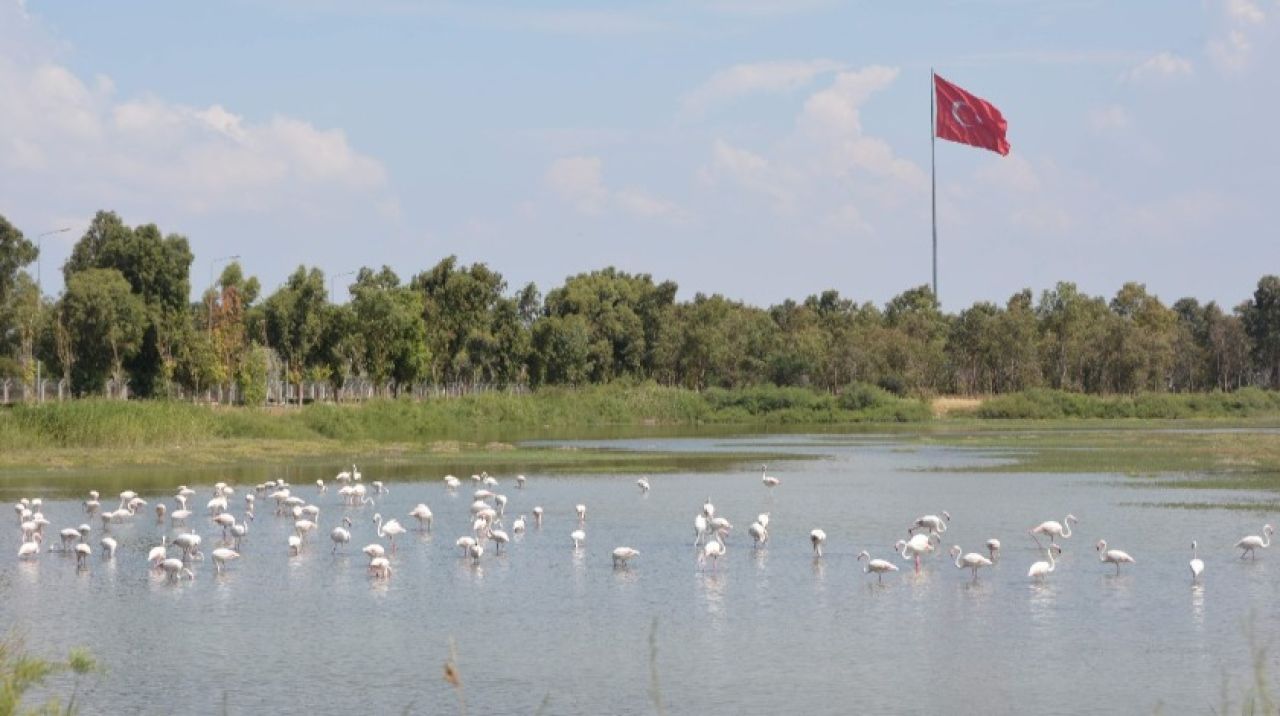 Aliağa, tarihi ve doğal güzellikleriyle ilgi çekiyor