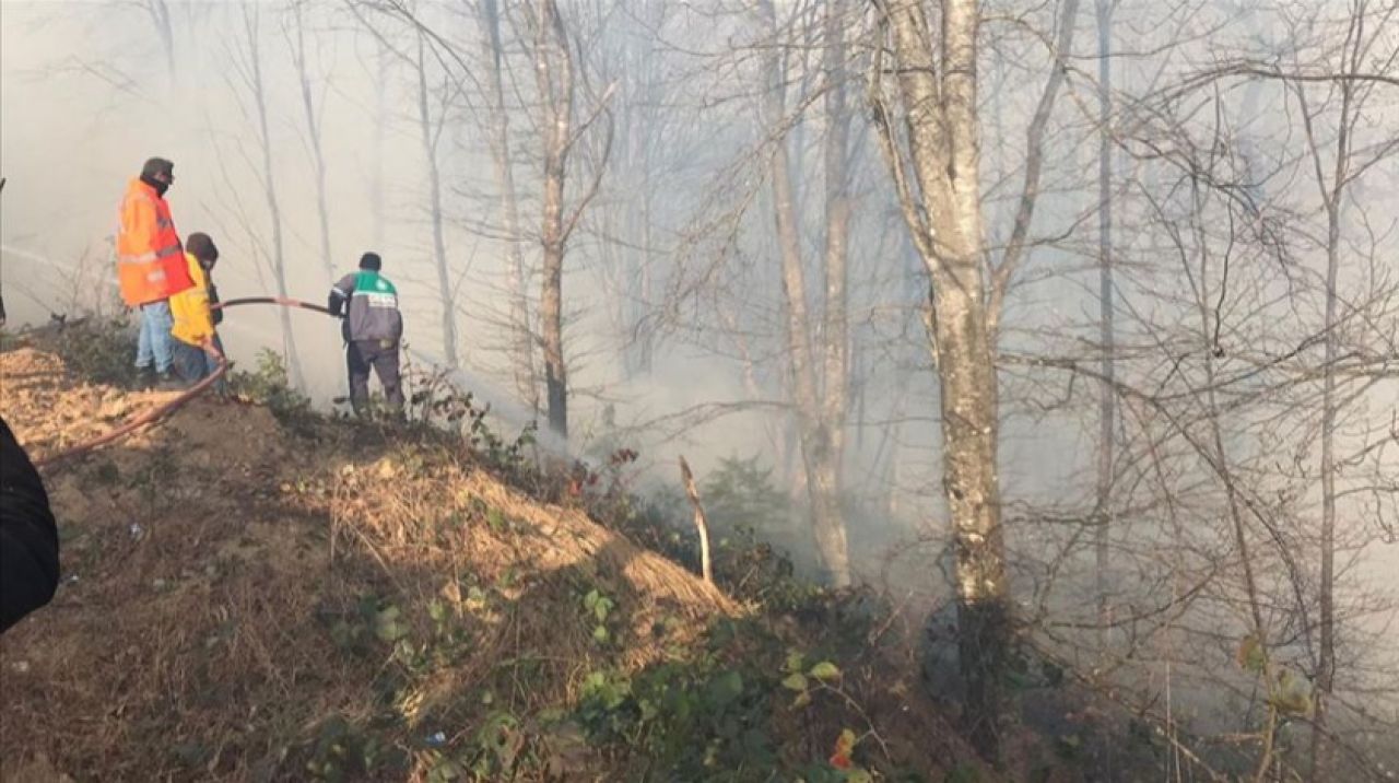 Karadeniz'de tüm yangınlar kontrol altına alındı