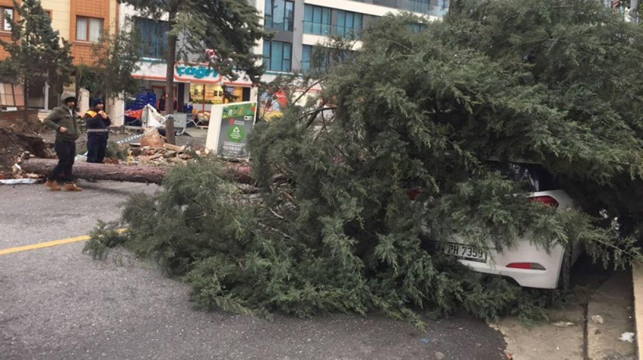 İstanbul'da okulun çatısı uçtu, ağaçlar devrildi