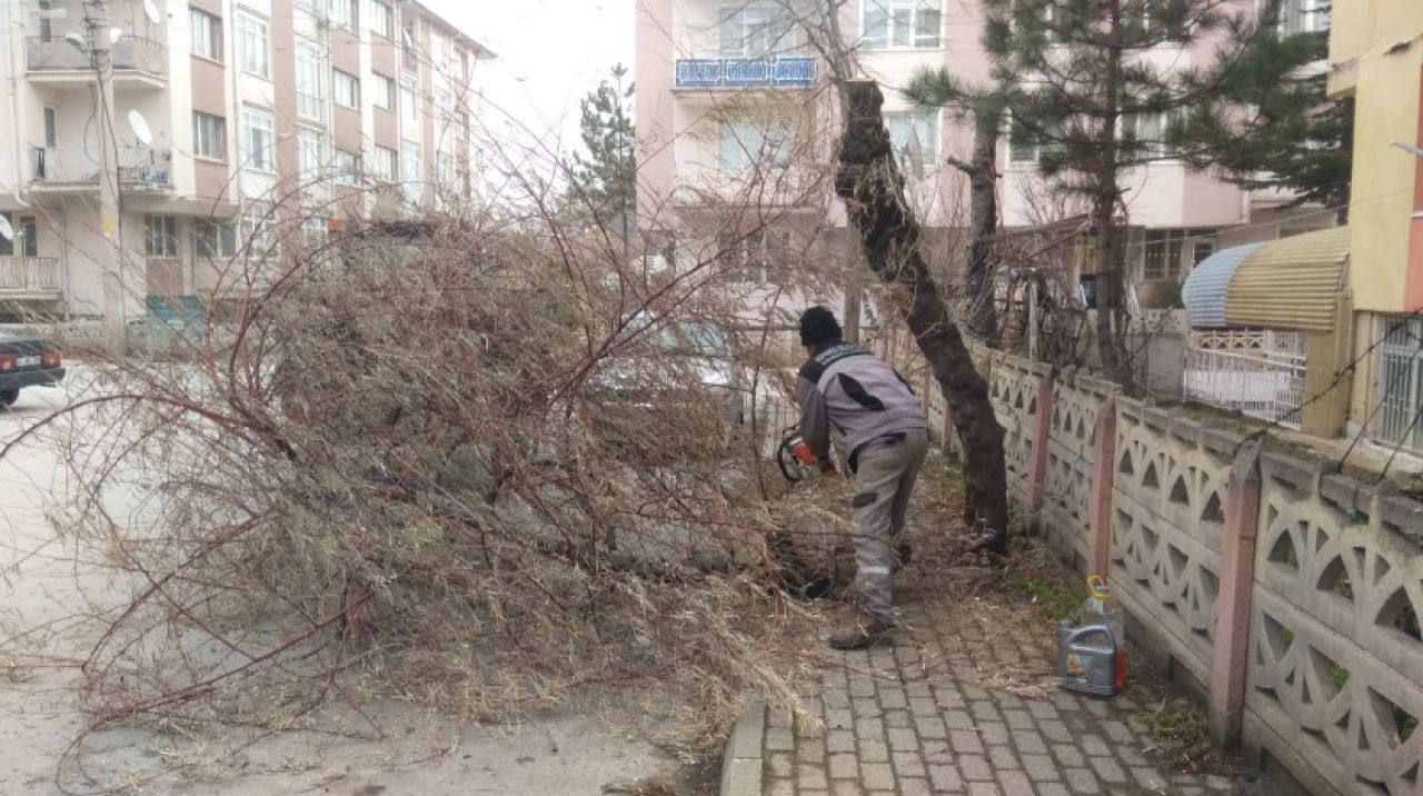 Kütahya'da parklarda bakım çalışmaları yapılıyor