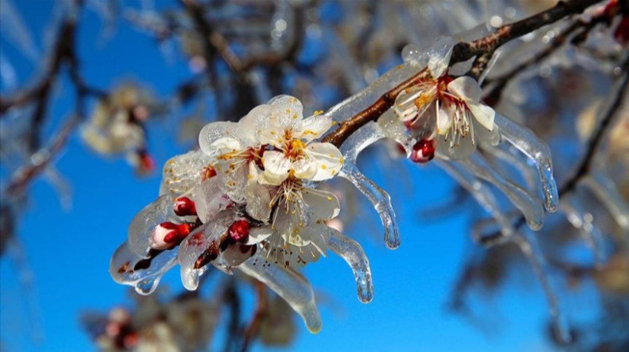 Meteorolojiden kar yağışı ve zirai don uyarısı