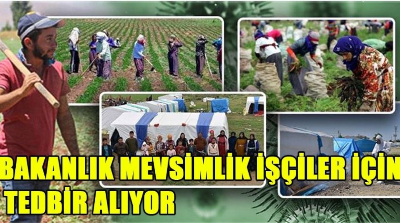 Bakanlık mevsimlik işçiler için tedbir alıyor