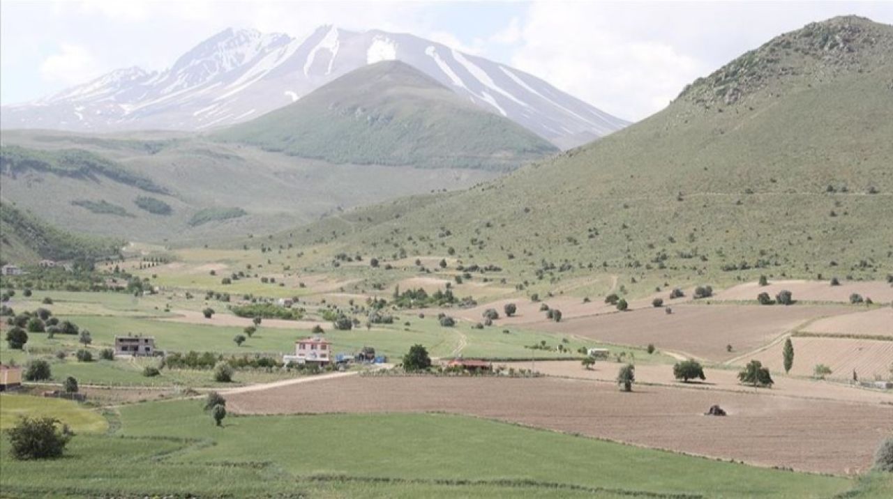 Hazinedeki araziler tarımsal üretime kazandırıldı