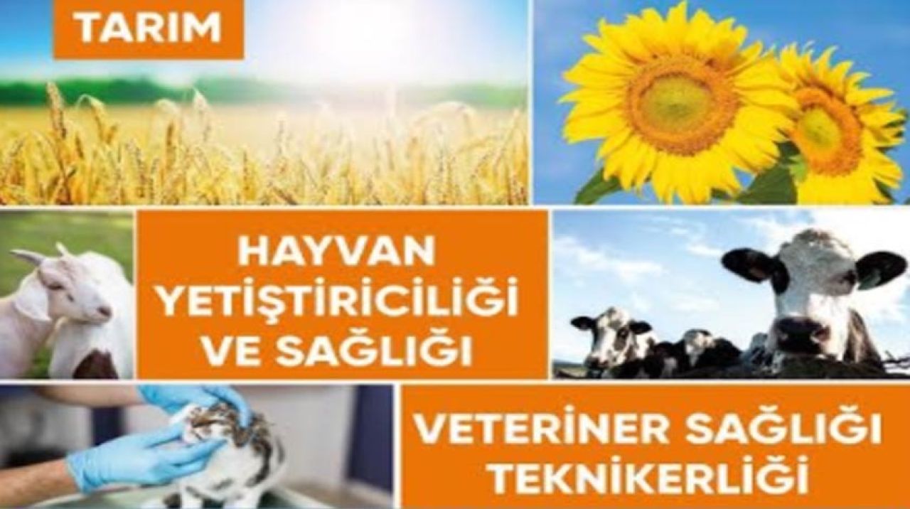 Gölbaşı Belediyesinden İstihdama Tam Destek