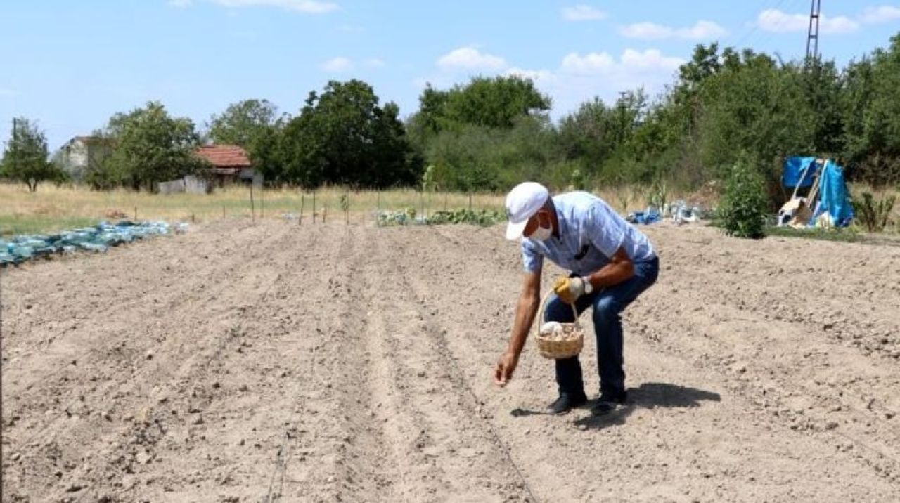 Karabük'te gördüğü ürünle Edirne'de öncü oldu!