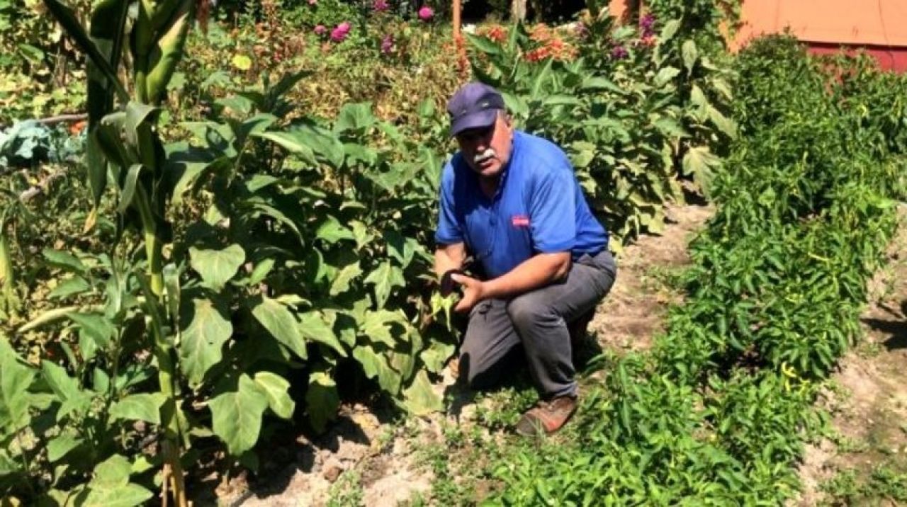 Bu patlıcanı görenler gözlerine inanamıyor