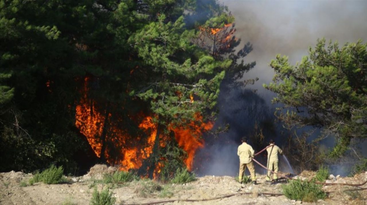 Hatay'da orman yangınında 2 tutuklama