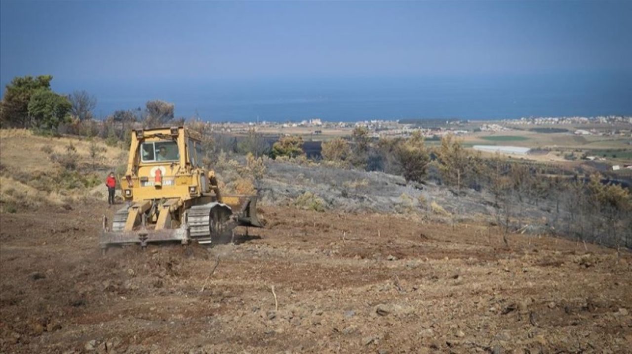 Hatay'da yanan alanlar fidan dikimine hazırlanıyor