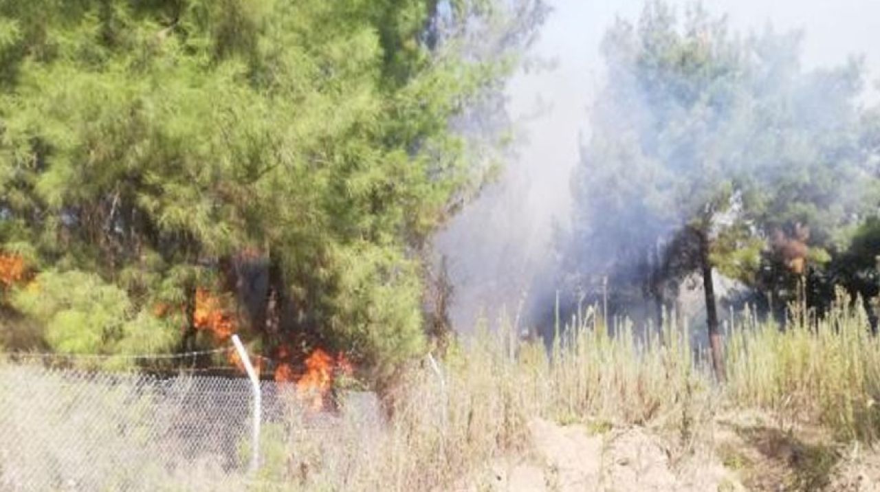 İskenderun'da orman yangını