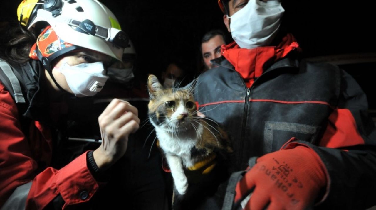 İzmir'de enkazda K-9 köpeği kediyi kurtardı