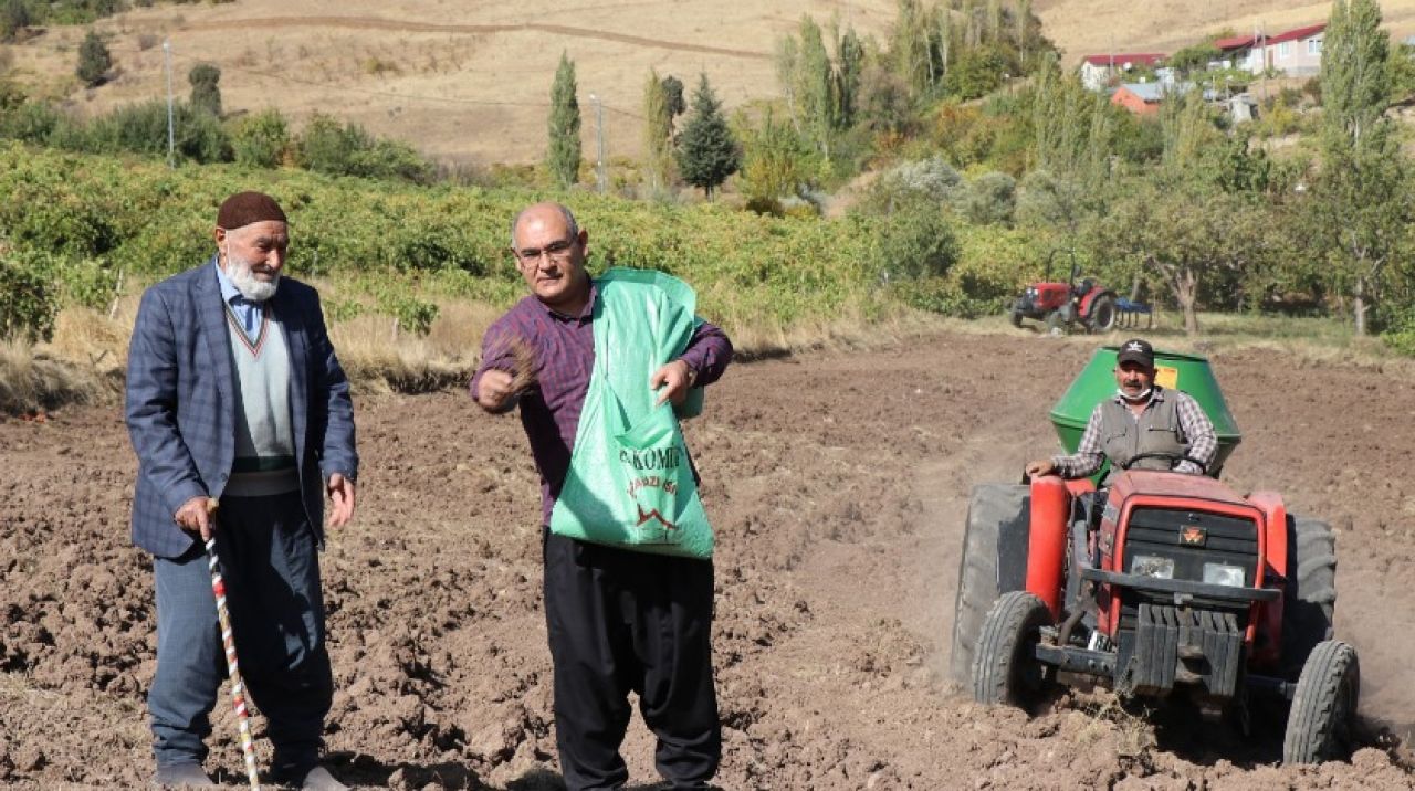 Şalvarlı Başkan buğdayı da kendi elleriyle ekti