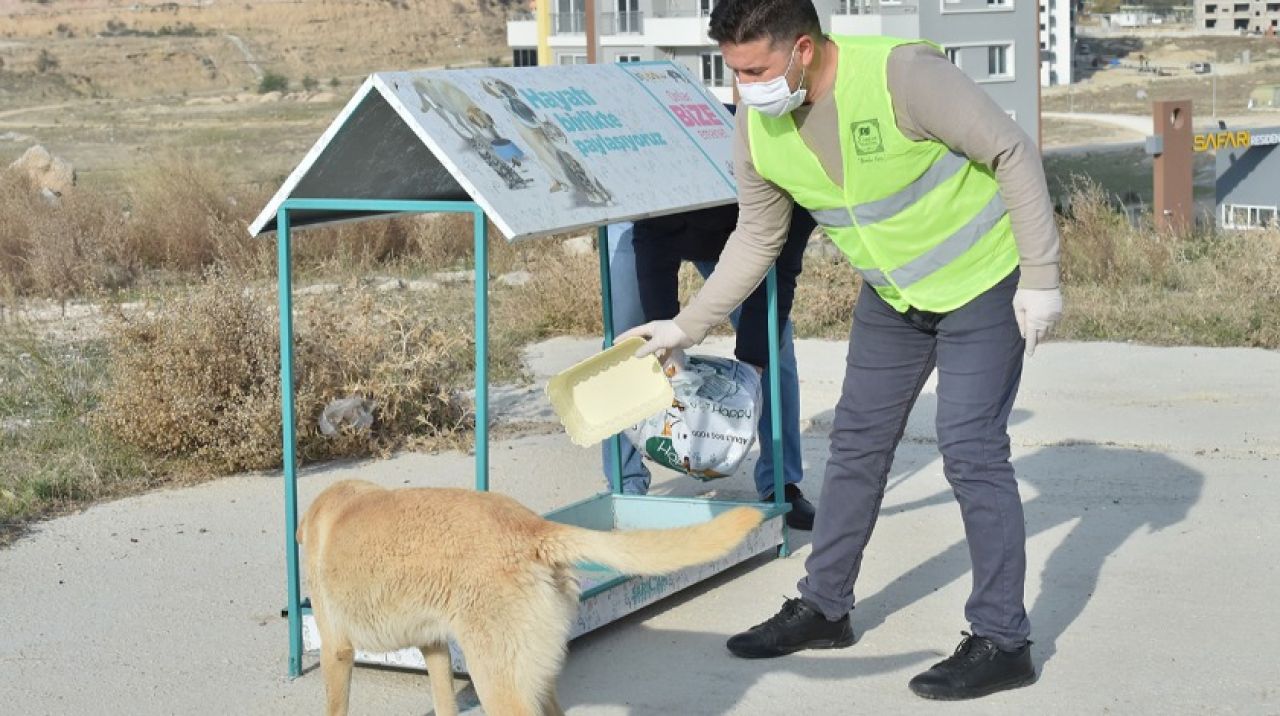 Sarıçam Belediyesi sokaktaki dostları unutmuyor