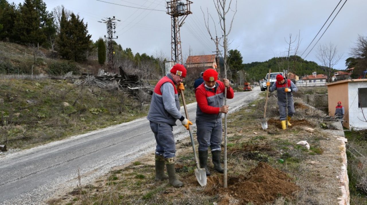 Buldan ıhlamur kokacak