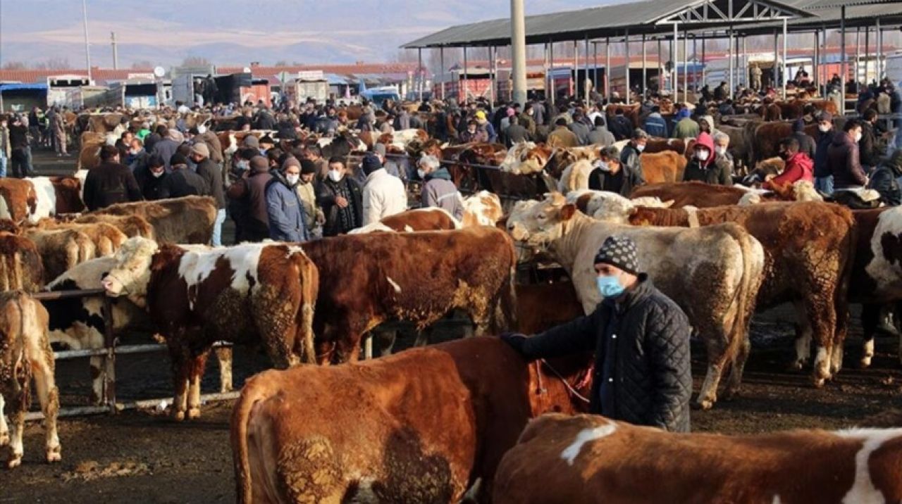 Türkiye'nin en büyük canlı hayvan pazarı için karar