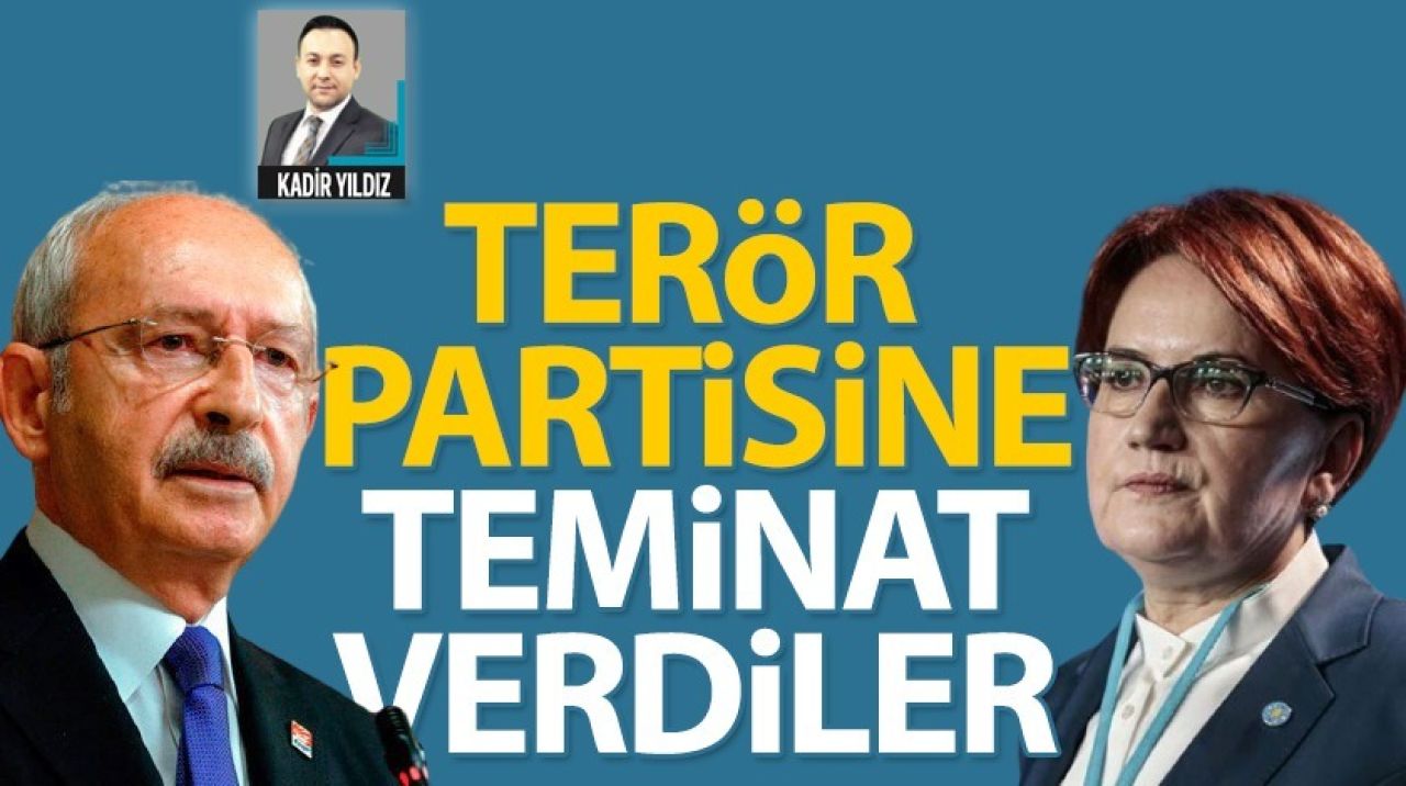 Terör partisine teminat verdiler