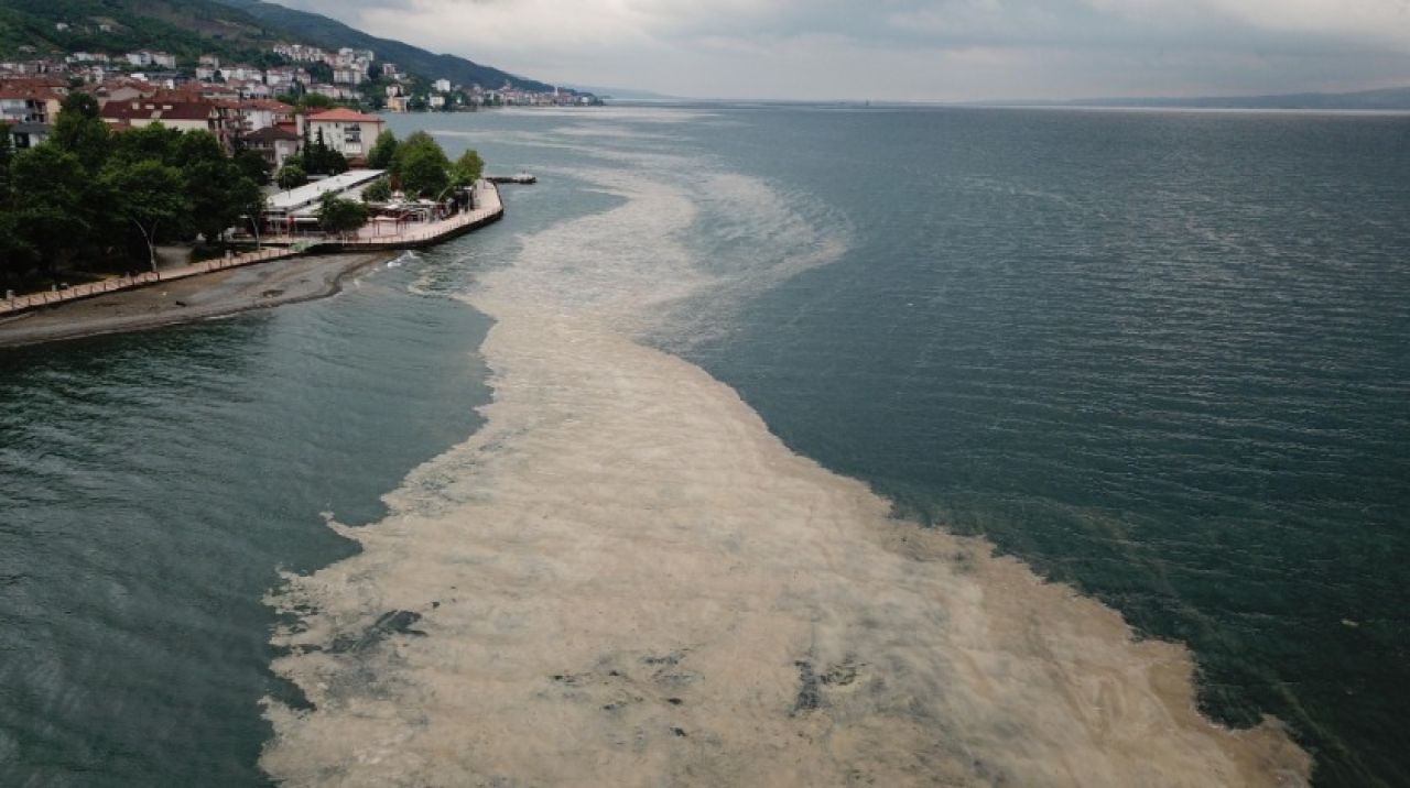 Deniz salyalarına karşı "Acil Eylem Planı" hazırlanıyor