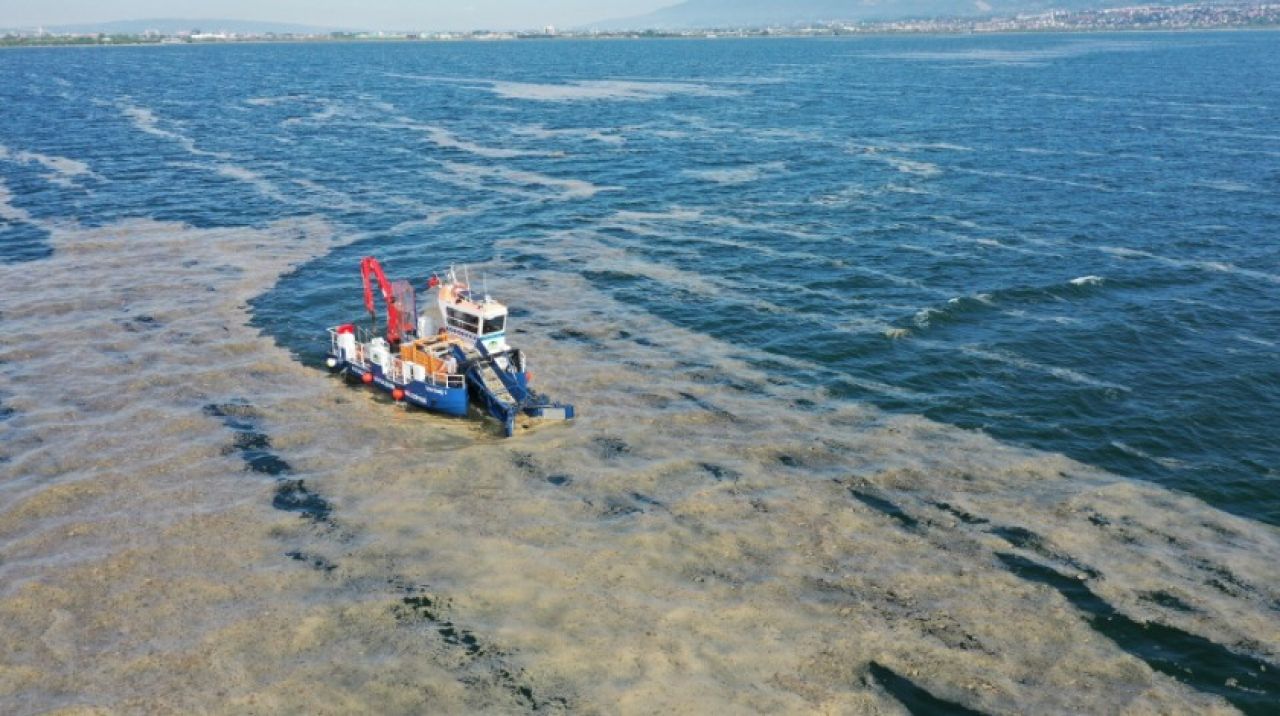 ODTÜ gemisi deniz salyası için görevde