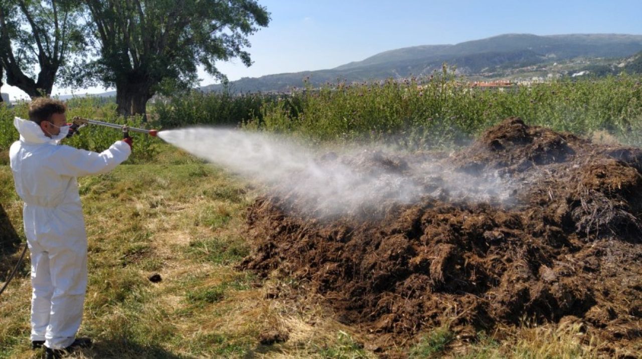 Kütahya'da haşereyle mücadele hız kesmiyor